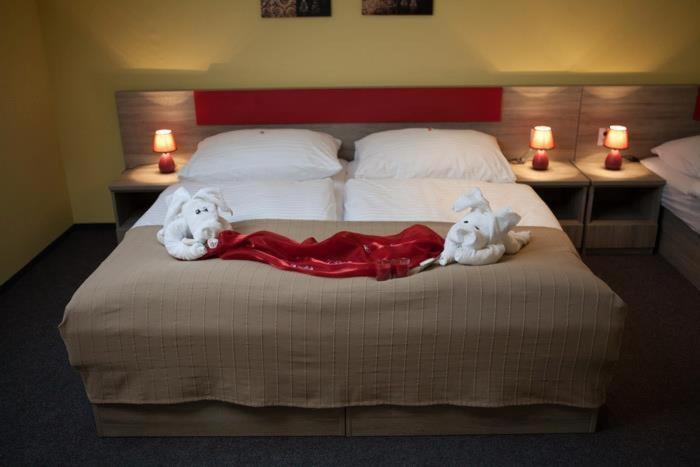 F - Team Hotel Liptovský Hrádok Стая снимка